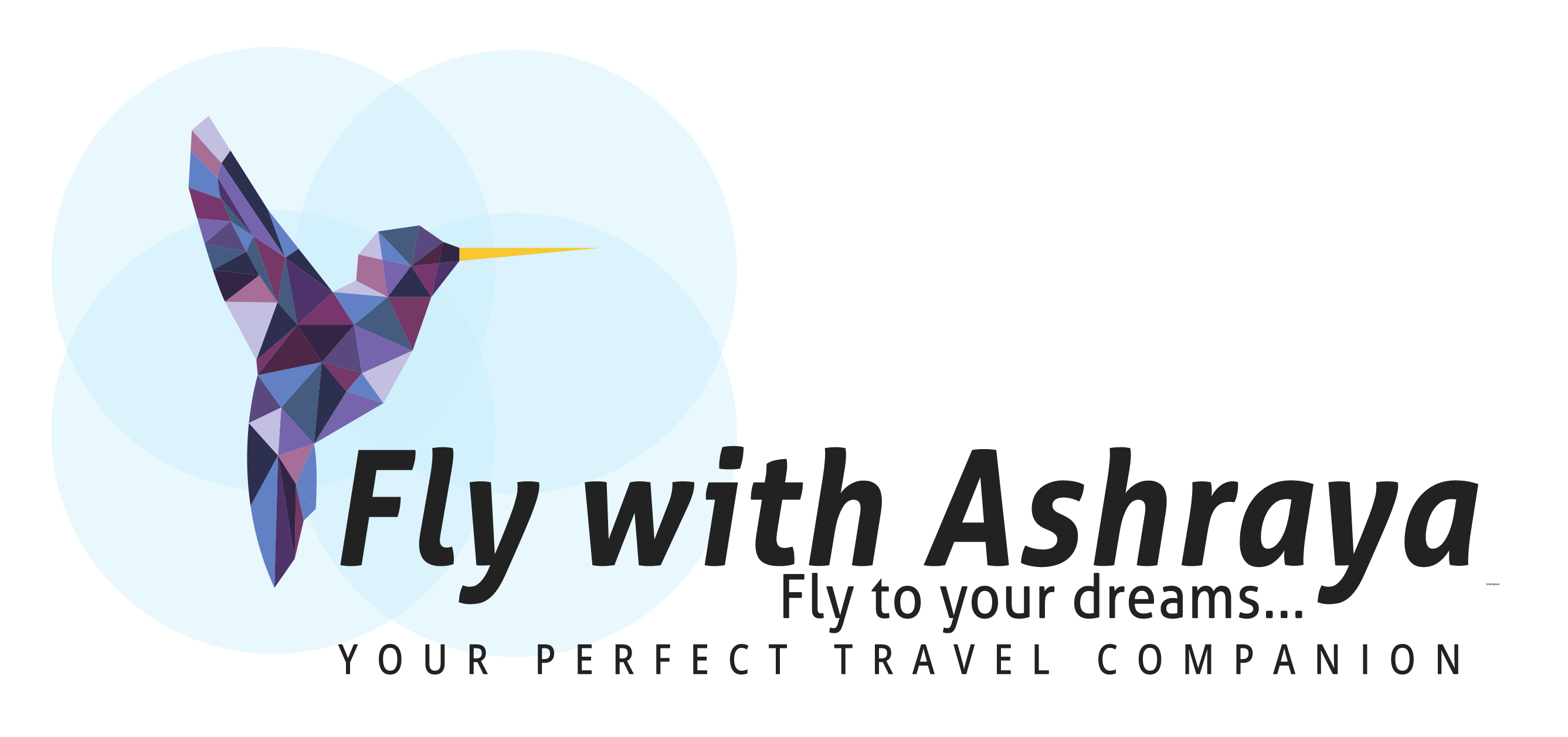 Fly With Ashraya