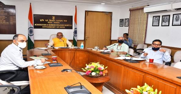 Panchayat Services